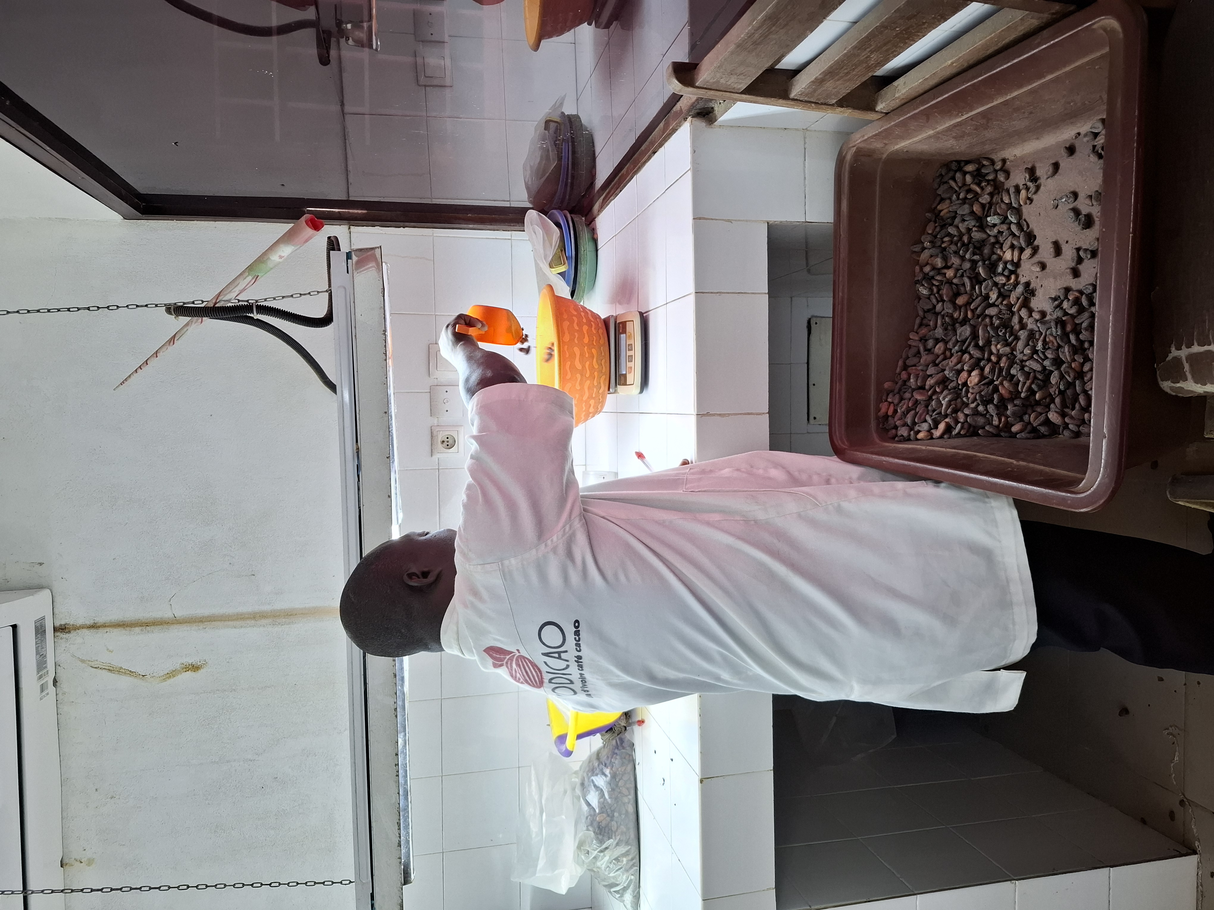 Sample Weighing