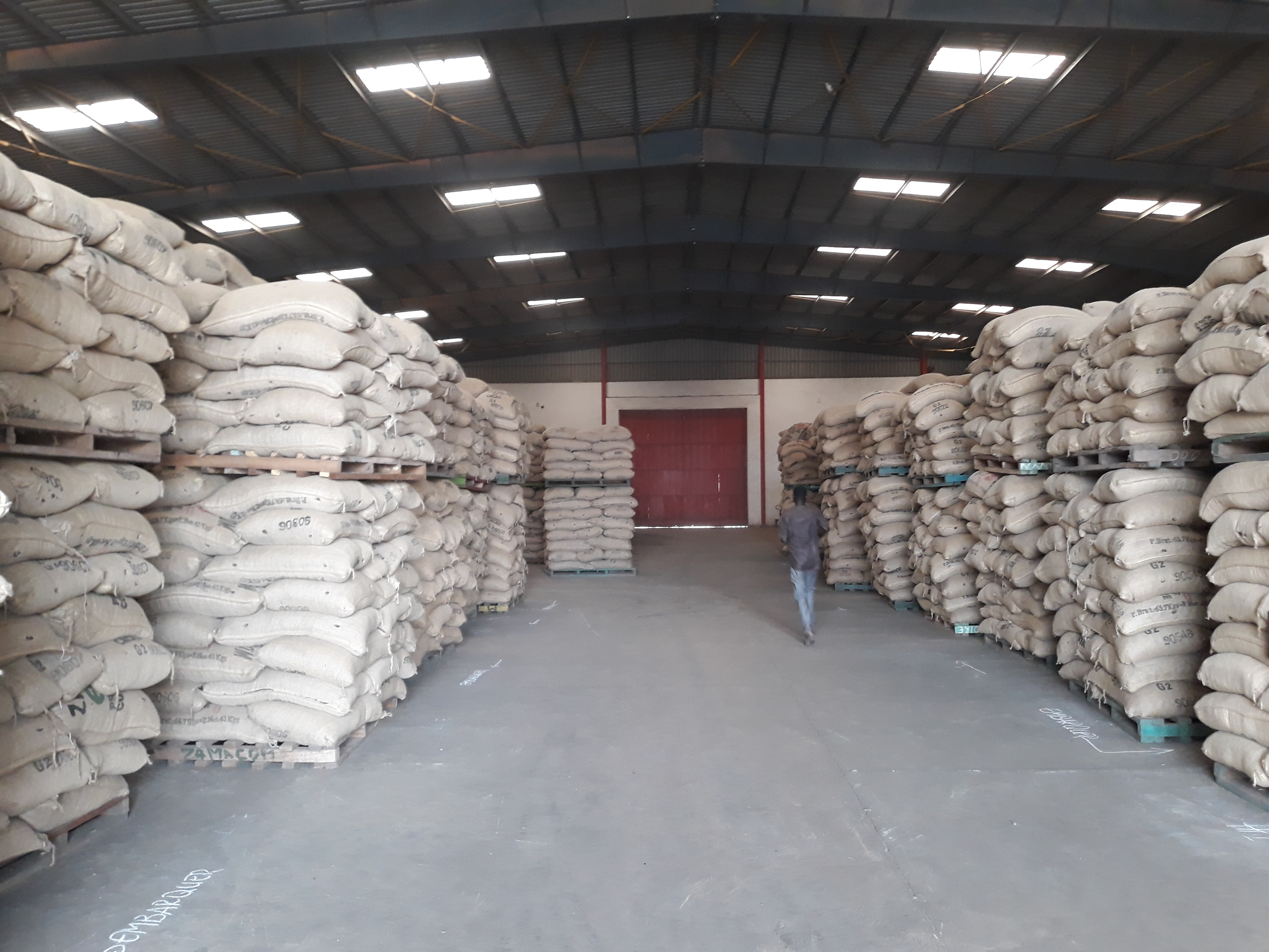 Cocoa warehouse in San-Pédro